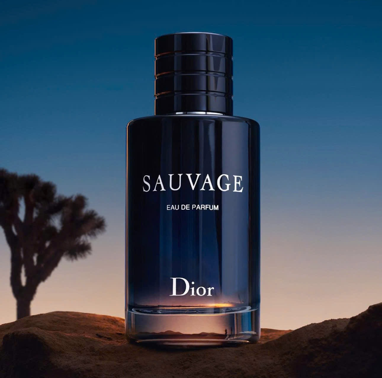 DIOR
Sauvage Eau de Parfum