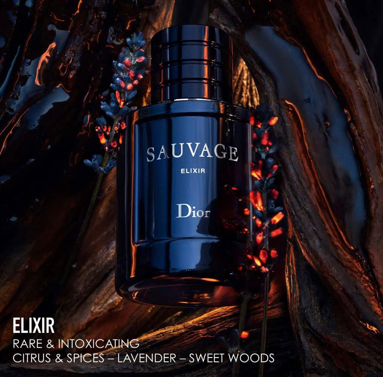 DIOR
Sauvage Elixir