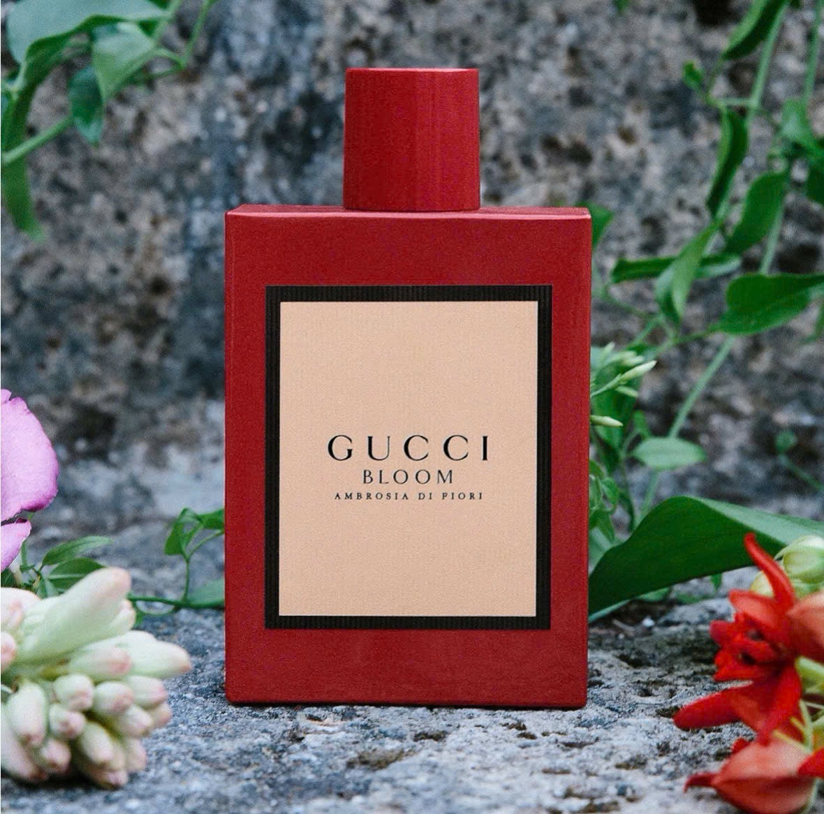 Gucci Bloom Ambrosia di Fiori
Eau de Parfum Intense For Her